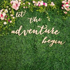 the words let the adventure begin are written in cursive writing on a green wall