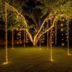 some lights are hanging from trees in the grass