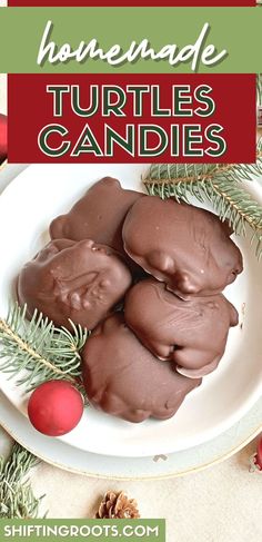 chocolate turtle candies on a plate with pine branches