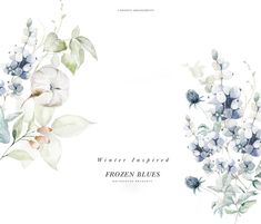 watercolor painting of flowers and leaves on a white background with the words frozen blues