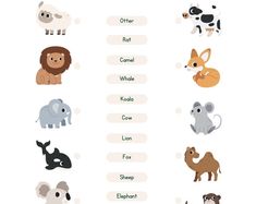 an animal chart with different types of animals