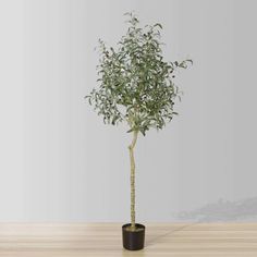 a small tree in a black pot on a wooden table