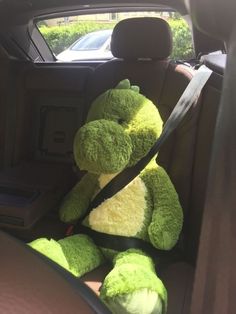 a green teddy bear sitting in the back seat of a car