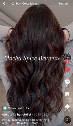 Dark Chocolate Babylights, Cinnamon Spice Hair Color Brunettes, Coffee Balayage On Black Hair, Dark Chocolate Brown Highlights On Black Hair, Hair Colour Ideas For Brown Hair, Fall Brown Hair Balayage, Brown With Violet Undertones, Mocha Spice Brunette, Truffle Raspberry Hair