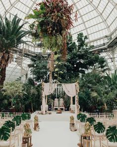 an indoor wedding venue with white chairs and greenery hanging from the ceiling, surrounded by palm trees