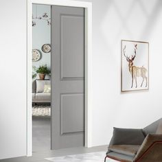 a living room with white walls and grey doors