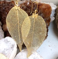 "Distinctive large copper Beech leaf earrings and pendants in four colours.  1. Gold plated copper leaves, gold plated ear wires, gold plated round  30\" chain  2. Rose Gold plated copper leaves, gold plated ear wires, gold plated link chain 3. Silver plated copper leaves, Sterling Silver ear wires, Silver plated round 30\" chain  4. Gunmetal plated copper leaves, Gunmetal plated ear wires, Gunmetal plated 30\" link chain Please note that the sizes of the leaves are approximate and no two leaves Gold Nature-inspired Metal Earrings, Gold Leaf Nature-inspired Jewelry, Nature-inspired Nickel-free Gold Earrings, Gold Leaf-shaped Jewelry Gift, Nature-inspired Gold Nickel-free Earrings, Nature-inspired Gold Jewelry With Matching Earrings, Nature-inspired Gold Leaf-shaped Jewelry, Gold Leaf-shaped Nickel-free Earrings, Gold-plated Leaf-shaped Earrings