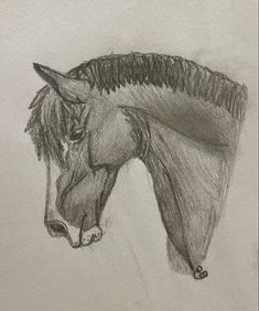 a pencil drawing of a horse's head