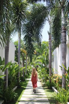 a woman in a red dress walking down a path between palm trees and other plants