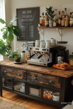 a coffee bar with lots of bottles and cups on it's shelves, next to a potted plant