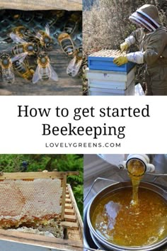 beekeepers are getting their hives ready to be picked