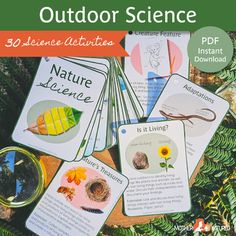 an outdoor science book with pictures of plants and insects on the cover, surrounded by pine needles