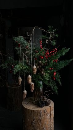 pine cones and berries are hanging from a tree stump