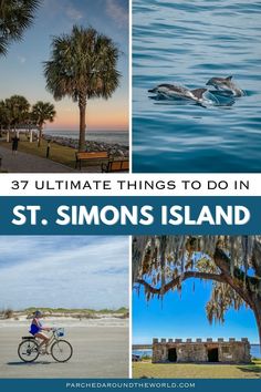 the ultimate things to do in st simon's island