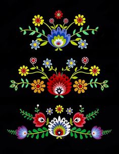 three different types of flowers and leaves on a black background, each with colorful colors