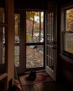 an open door leading into a room with lots of leaves on the floor and trees outside