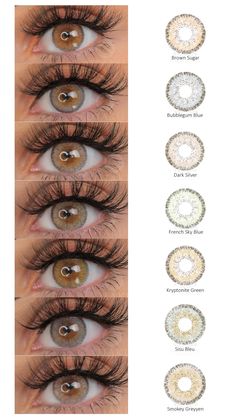 Golden Contacts Lenses, Natural Eye Lens Colour, Solotica Contacts, Blue Grey Contact Lenses, Pure Hazel Contacts, Eye Lens Colour, Soft Eye Makeup, Natural Color Contacts, Colored Eye Contacts