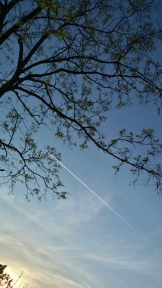 an airplane is flying high in the sky above some trees and grass with no leaves on it