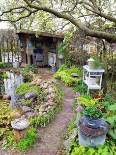 an outdoor garden with lots of plants and flowers on the ground, next to a small shed