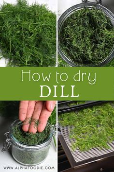 how to dry dill in an air fryer with the words, how to dry dill