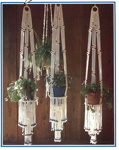 three macrame hanging planters with plants in them and the words yankee doodles above them