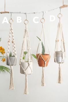 macrame plant hangers with plants in them