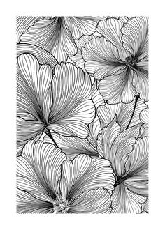 black and white drawing of flowers