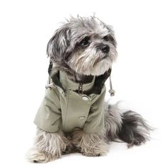 a small dog is dressed in an army green coat and black collar, sitting on a white background