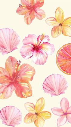 an orange slice and some pink flowers on a white background