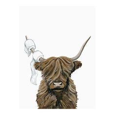 a drawing of a long haired bull with horns