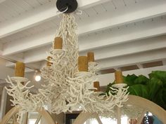 a white chandelier hanging from the ceiling in a room with mirrors and plants