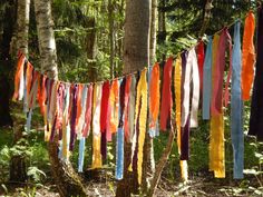 colorful streamers hanging from trees in the woods