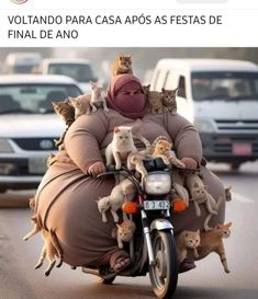 a woman riding on the back of a motorcycle filled with cats