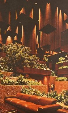 the interior of a building with plants growing on the walls