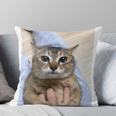 a cat that is sitting on top of a couch with its paw on the pillow