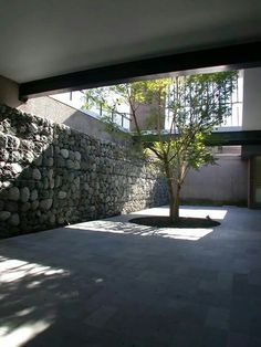 an empty room with stone walls and a tree in the center is lit by sunlight coming through windows