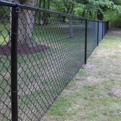 a black chain link fence in the middle of a grassy area next to a tree