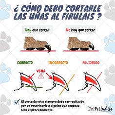 a poster with instructions on how to use the correct shoe for walking and riding dogs