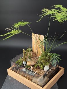 an arrangement of plants and rocks in a glass container on a black surface with bamboo sticks sticking out of it