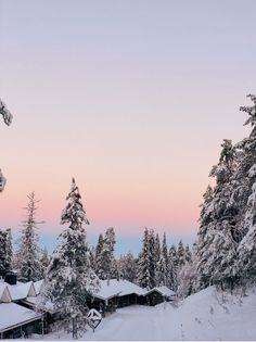 snow covered trees and houses at dusk in the mountains near vancouver, british columbias