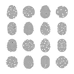 fingerprints with different shapes and sizes