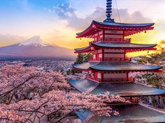 a tall red building sitting next to a lush green forest covered in pink blossoming trees