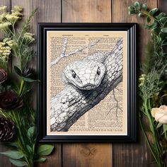 a snake on an old book page with flowers and greenery around it, framed in a black frame