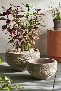 two planters sitting next to each other on top of a cement floor near potted plants