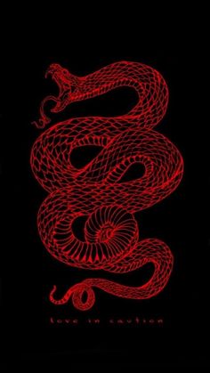 a red snake on a black background