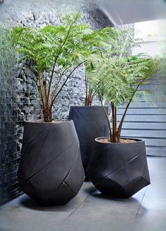 two planters with plants in them on the ground