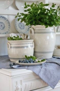 a white table topped with plates and vases filled with green plants next to each other