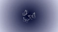 three butterflies flying in the air on a blue background