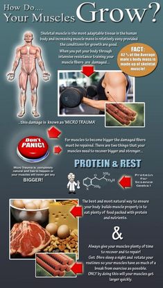 Info Board, Muscle Growth, Muscle Fitness, Sports Nutrition, Muscle Mass, Gain Muscle, Mens Health, Diet Plans, Fitness Nutrition