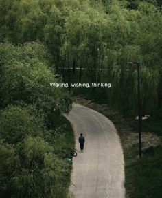 a person walking down a road in the middle of a forest with trees on both sides